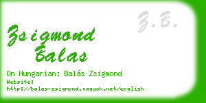 zsigmond balas business card